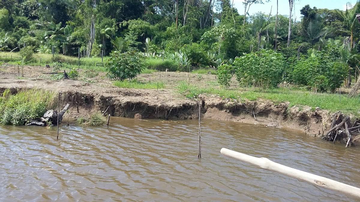 Registro de marca em Afuá, Pará