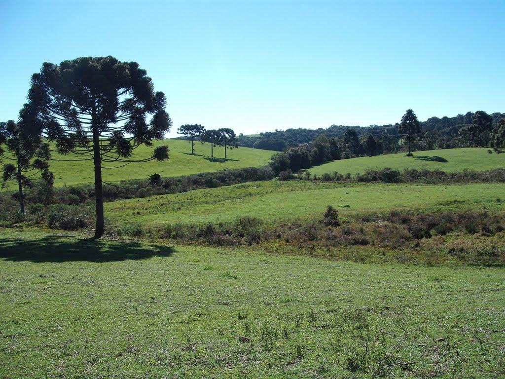 Registro de marca em Água Santa, Rio Grande do Sul