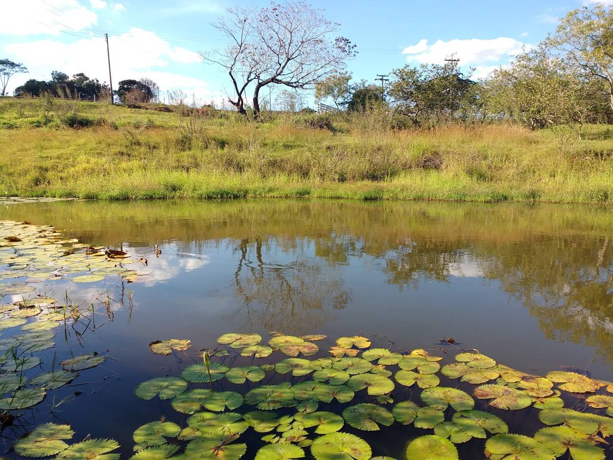 Registro de marca em Alfredo Marcondes, São Paulo