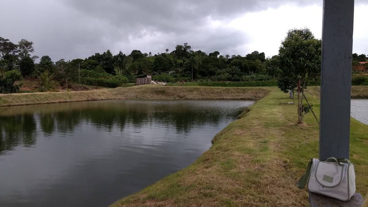 Registro de marca em Alta Floresta D'Oeste, Rondônia