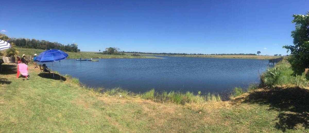 Registro de marca em Alta Floresta, Mato Grosso