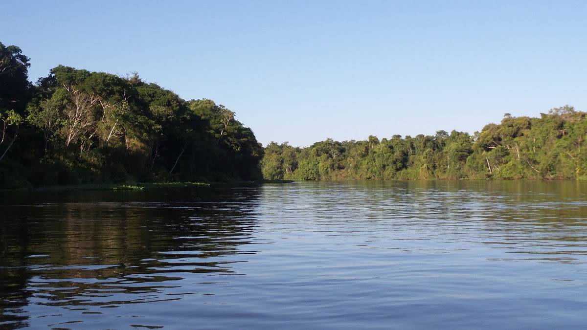 Registro de marca em Alto Alegre dos Parecis, Rondônia