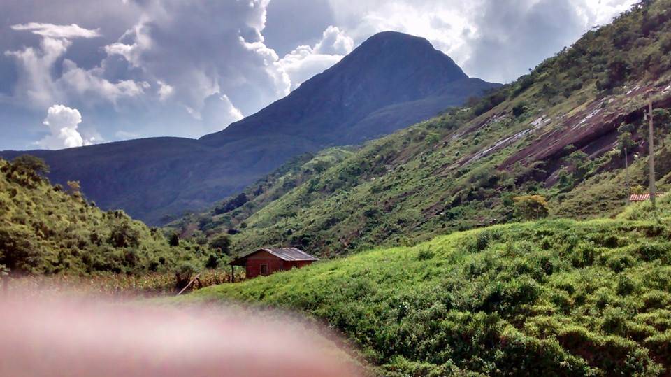 Registro de marca em Alvarenga, Minas Gerais