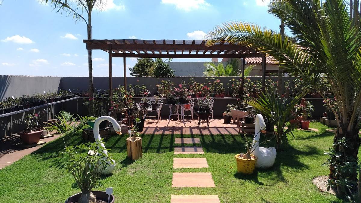 Registro de marca em Álvares Florence, São Paulo