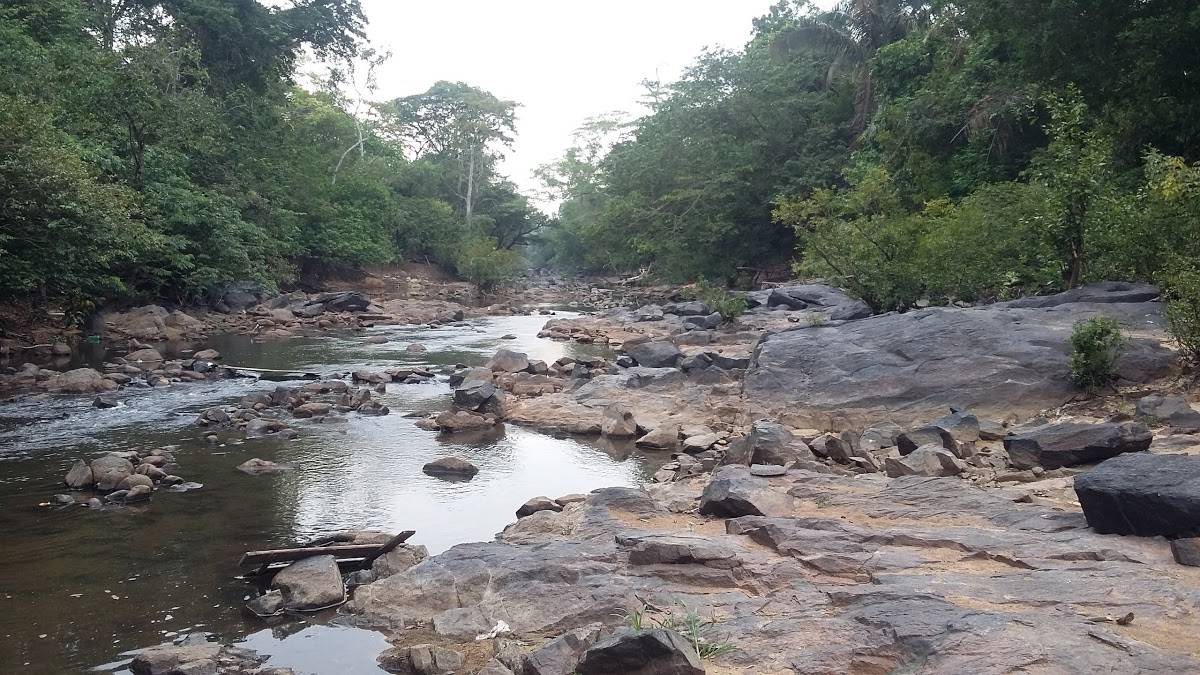 Registro de marca em Anapu, Pará