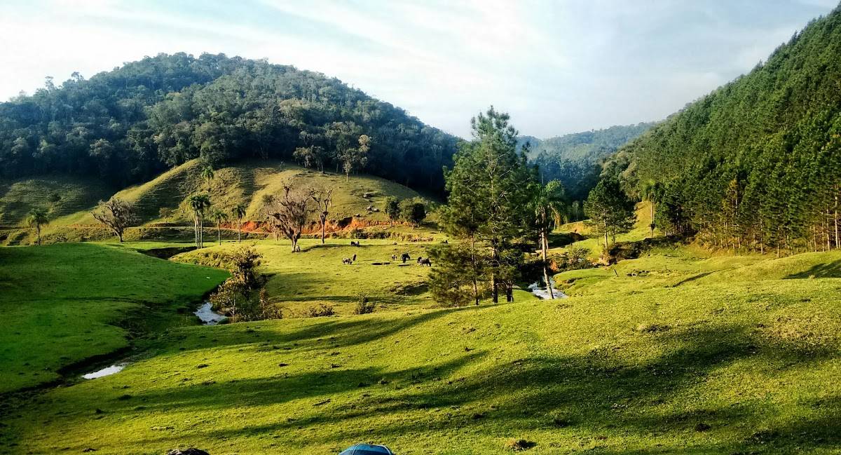 Registro de marca em Angelina, Santa Catarina