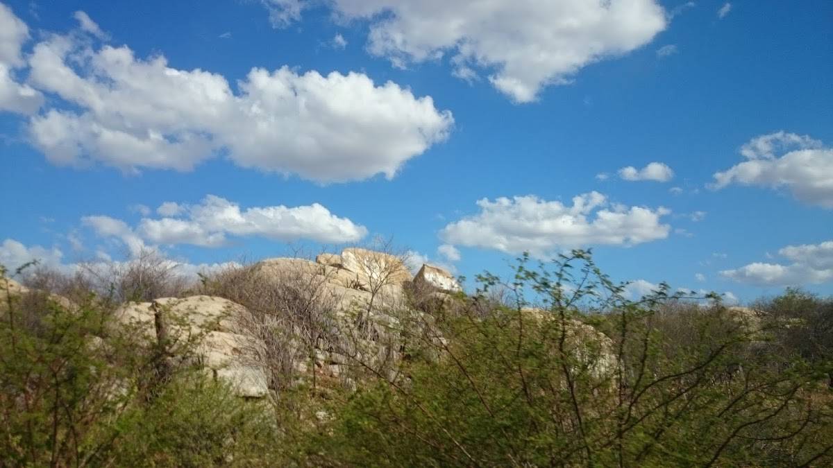 Registro de marca em Angicos, Rio Grande do Norte