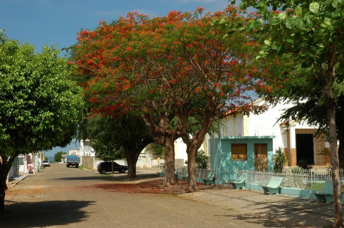 Registro de marca em Anísio de Abreu, Piauí
