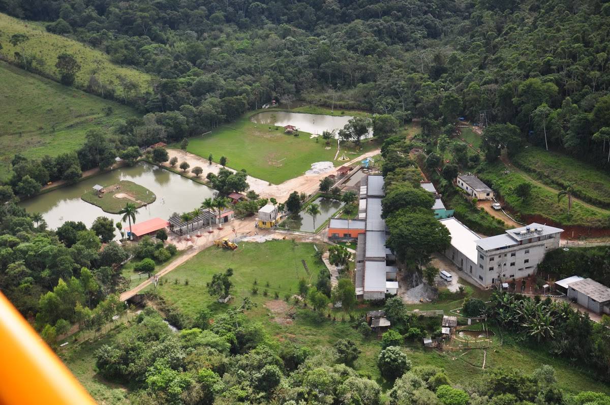 Registro de marca em Antônio Carlos, Minas Gerais