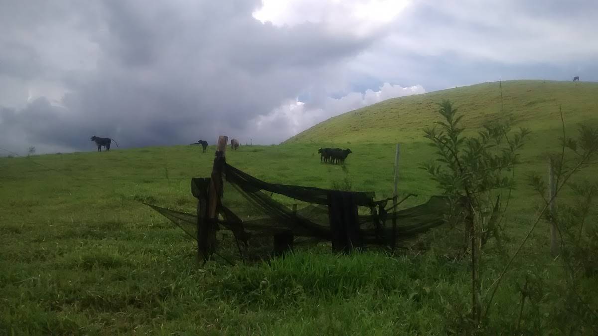 Registro de marca em Antônio Prado de Minas, Minas Gerais