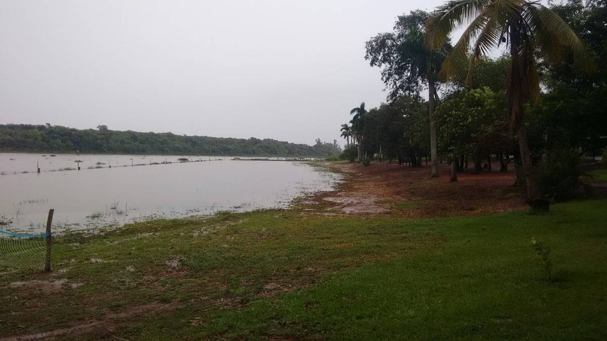 Registro de marca em Aparecida D'oeste, São Paulo