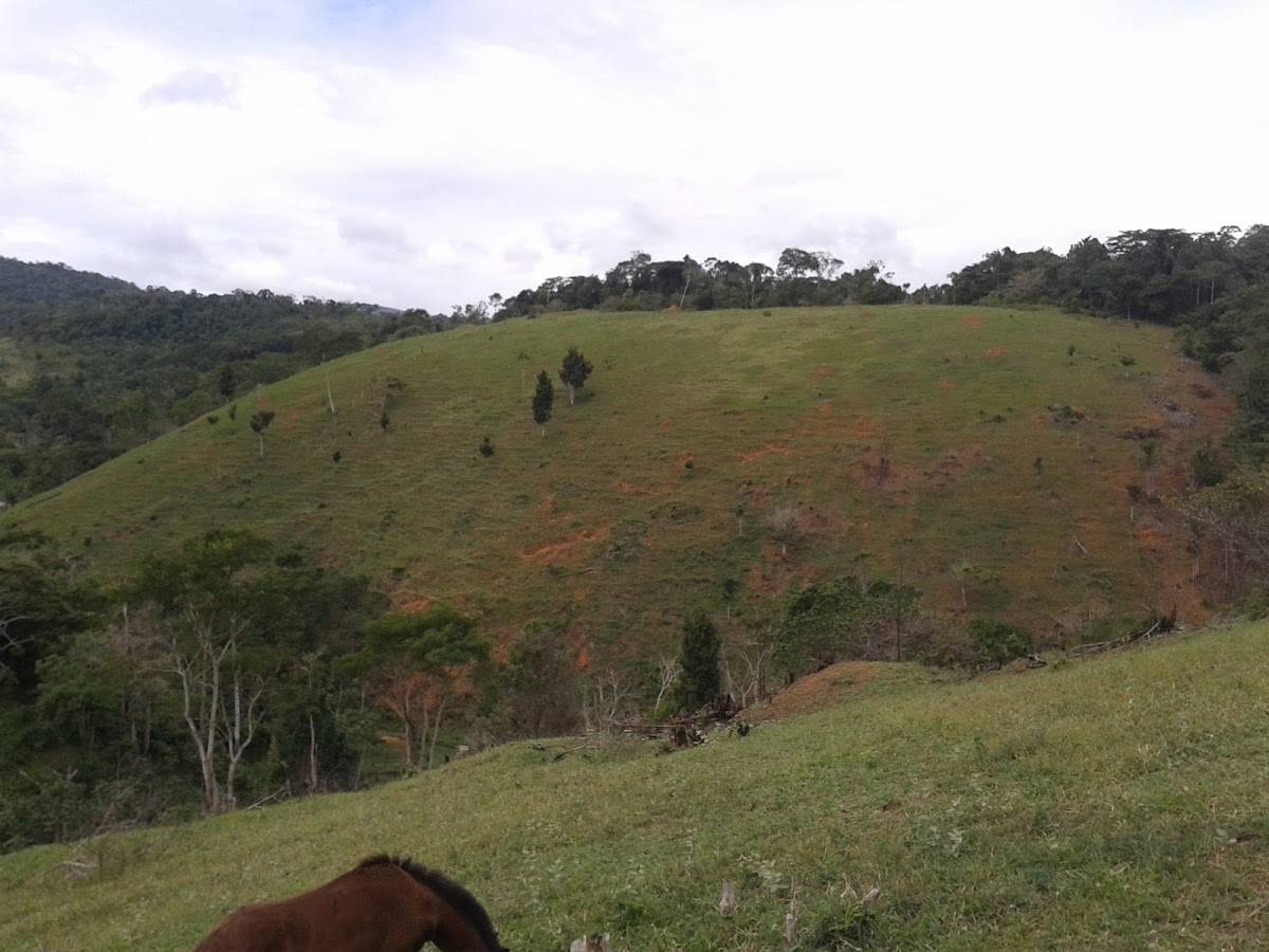 Registro de marca em Apuarema, Bahia