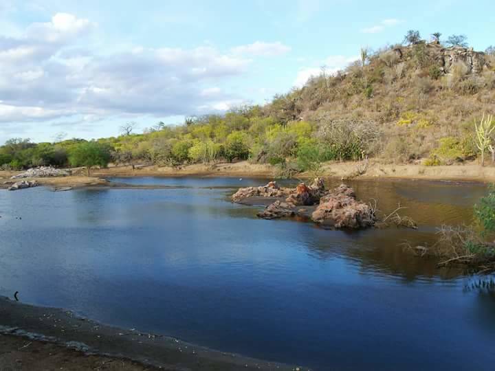 Registro de marca em Araci, Bahia