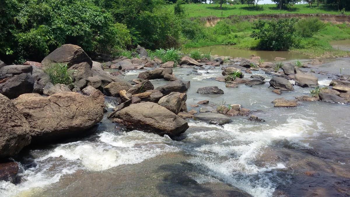 Registro de marca em Araçu, Goiás