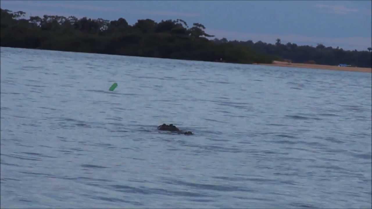 Registro de marca em Araguanã, Tocantins