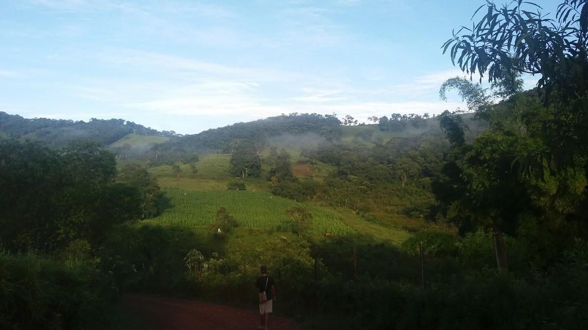 Registro de marca em Arantina, Minas Gerais