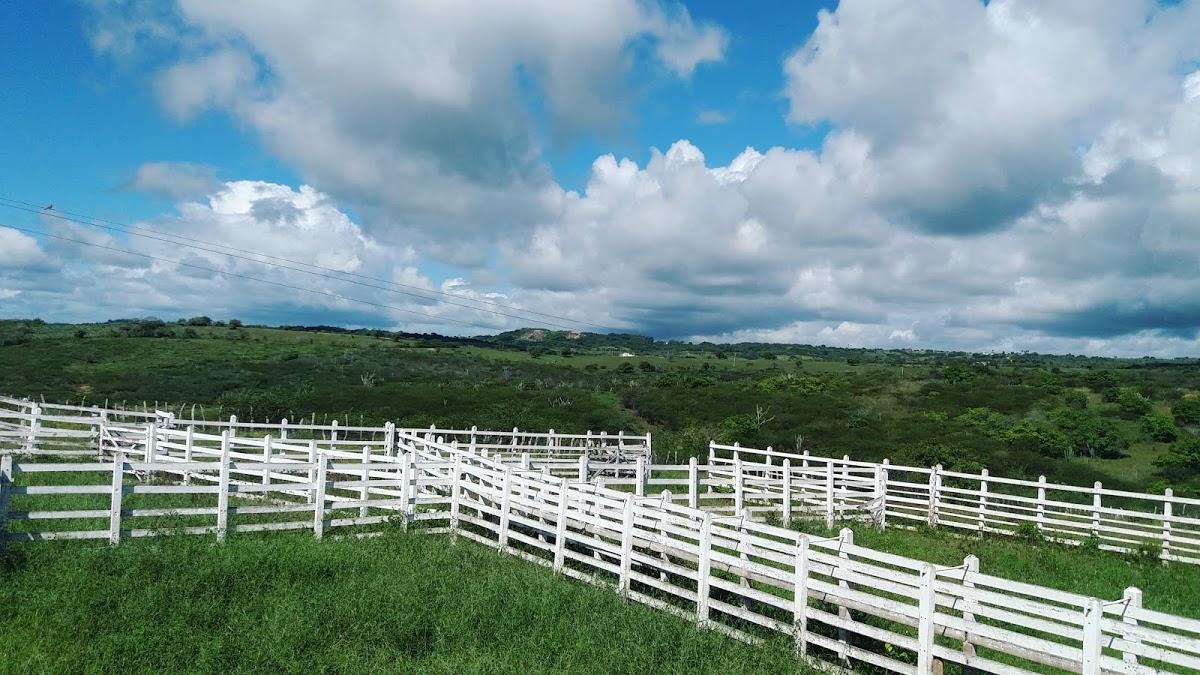 Registro de marca em Arara, Paraíba