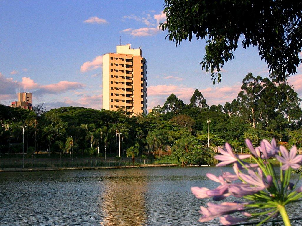Registro de marca em Araras, São Paulo