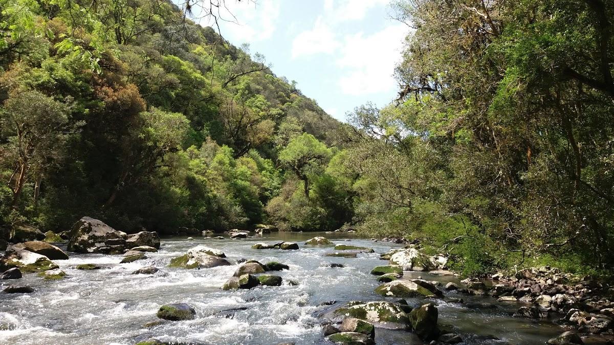 Registro de marca em Arvorezinha, Rio Grande do Sul