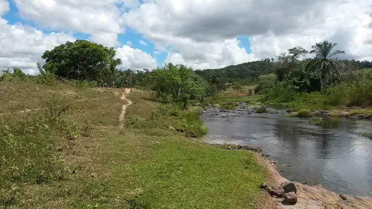 Registro de marca em Aurelino Leal, Bahia