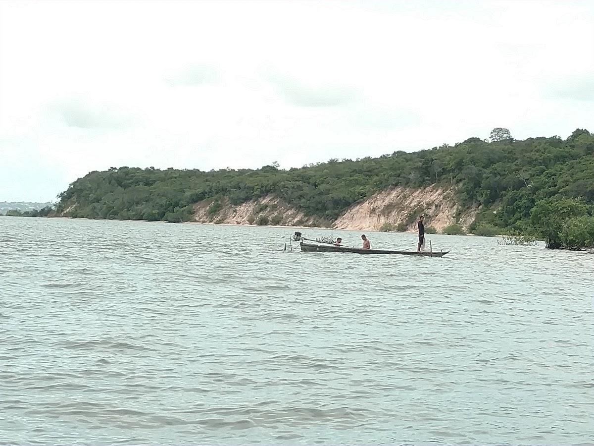 Registro de marca em Aveiro, Pará