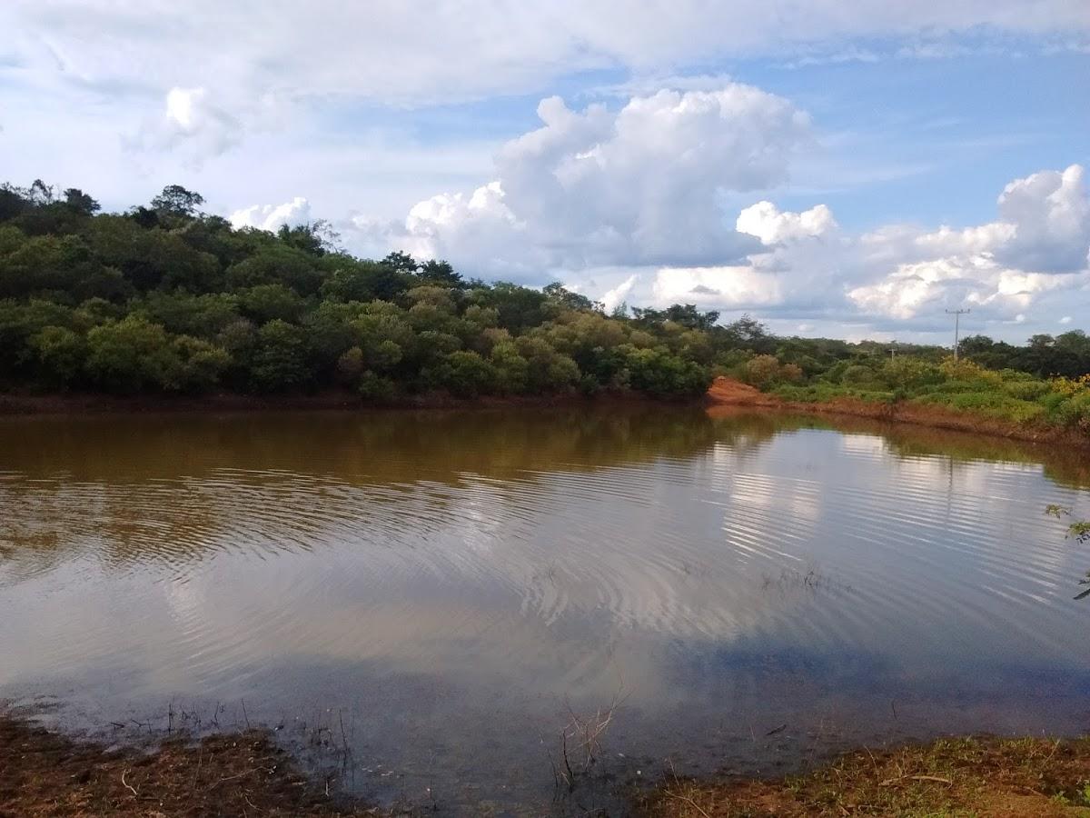 Registro de marca em Avelino Lopes, Piauí