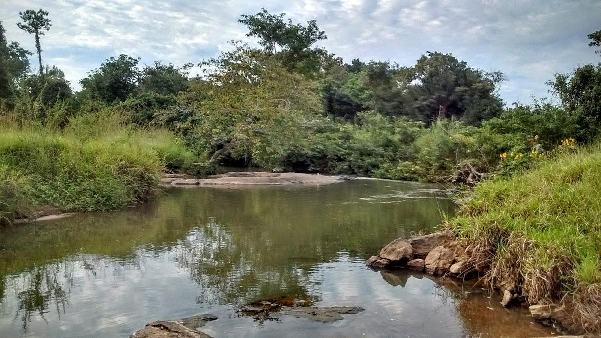 Registro de marca em Avelinópolis, Goiás