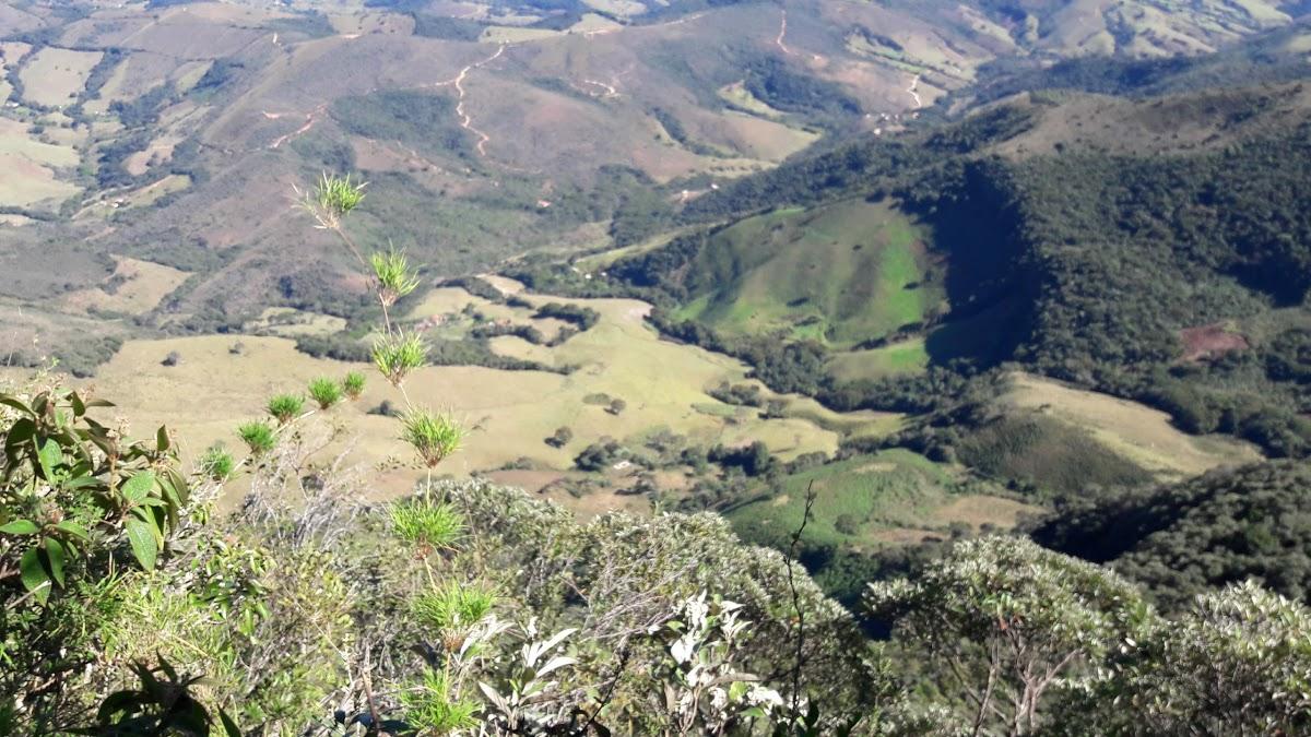 Registro de marca em Baependi, Minas Gerais