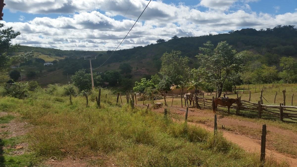 Registro de marca em Baianópolis, Bahia