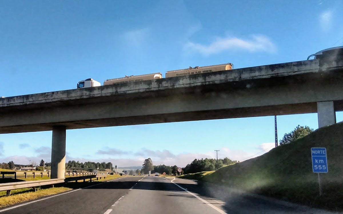 Registro de marca em Balsa Nova, Paraná