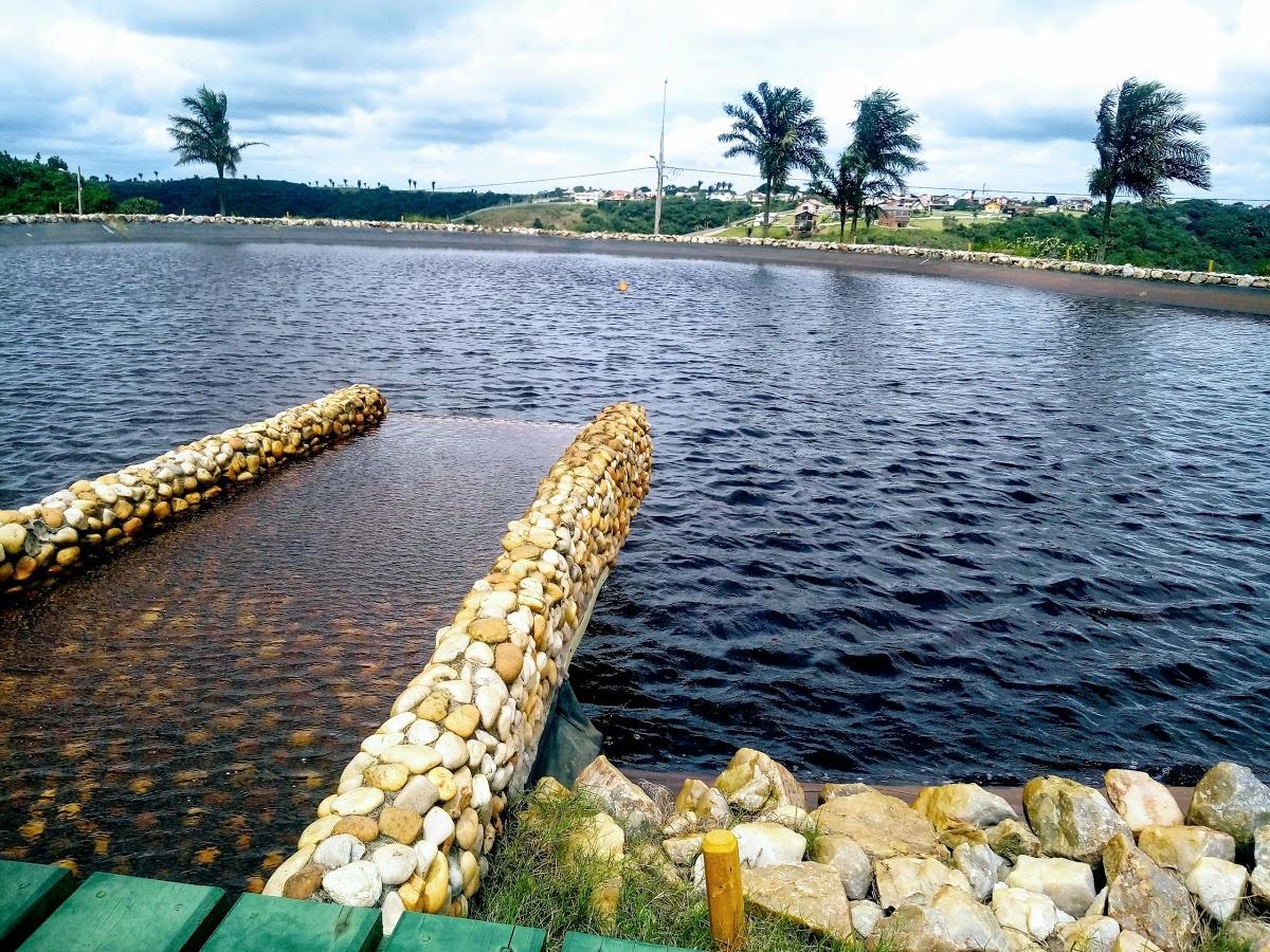 Registro de marca em Bananeiras, Paraíba