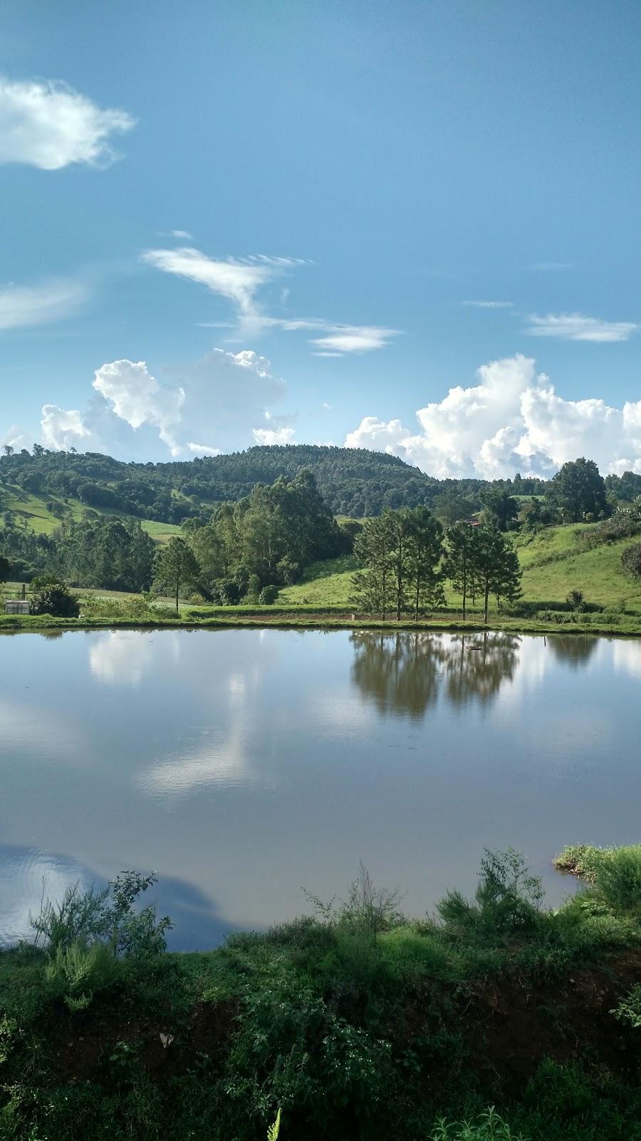 Registro de marca em Bandeirante, Santa Catarina