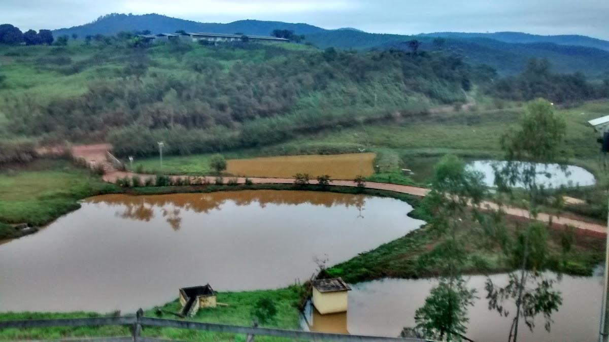 Registro de marca em Barão de Cocais, Minas Gerais