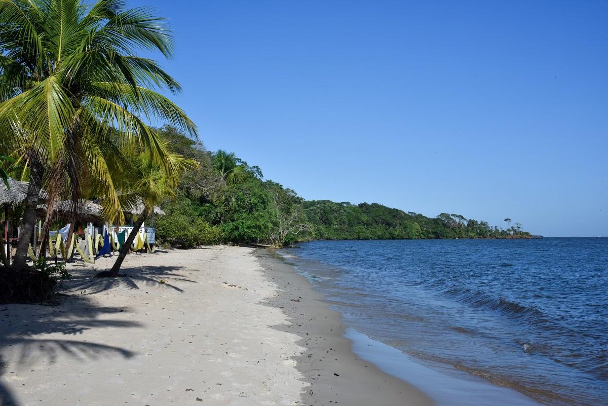 Registro de marca em Barcarena, Pará
