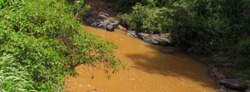 Registro de marca em Barra do Jacaré, Paraná