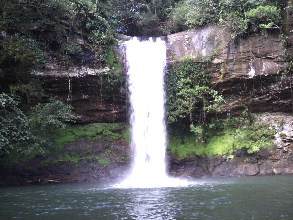 Registro de marca em Barra do Ouro, Tocantins