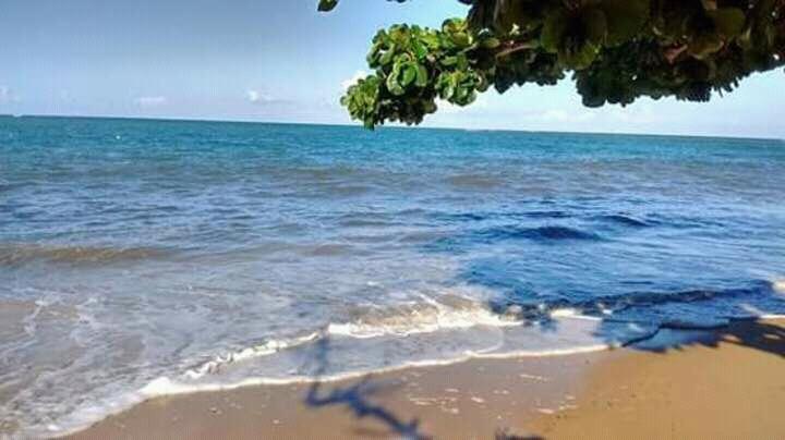 Registro de marca em Belmonte, Bahia