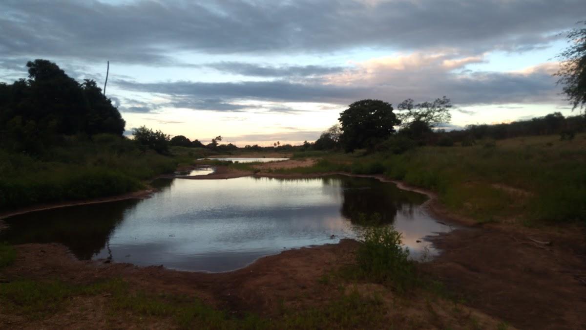 Registro de marca em Betânia, Pernambuco