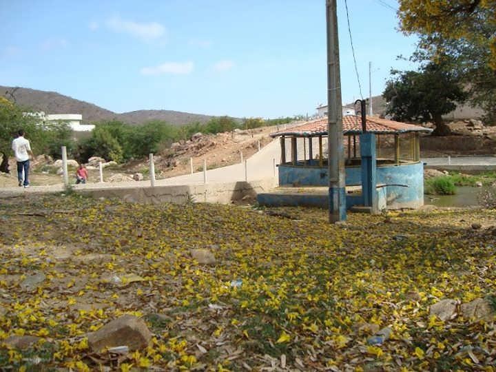 Registro de marca em Bodó, Rio Grande do Norte