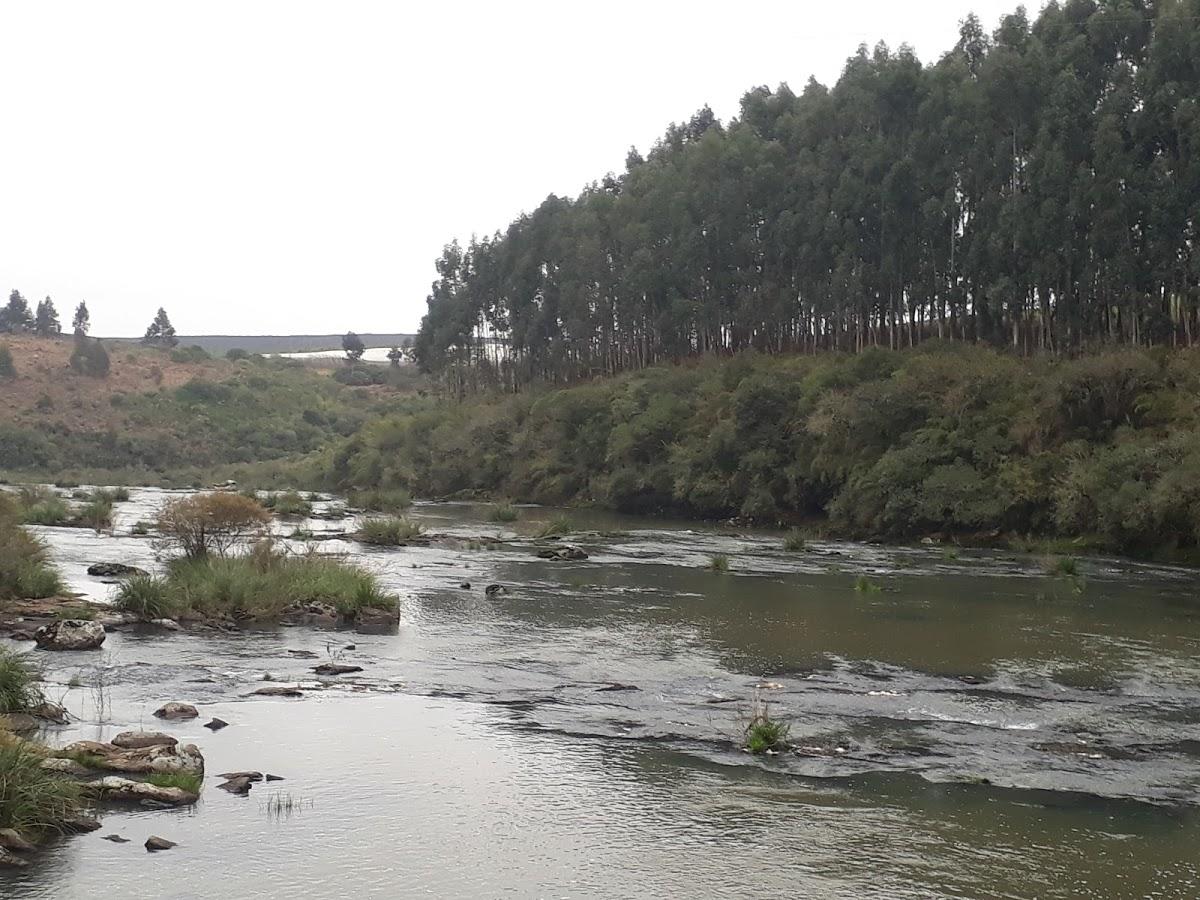 Registro de marca em Bom Jesus, Rio Grande do Sul