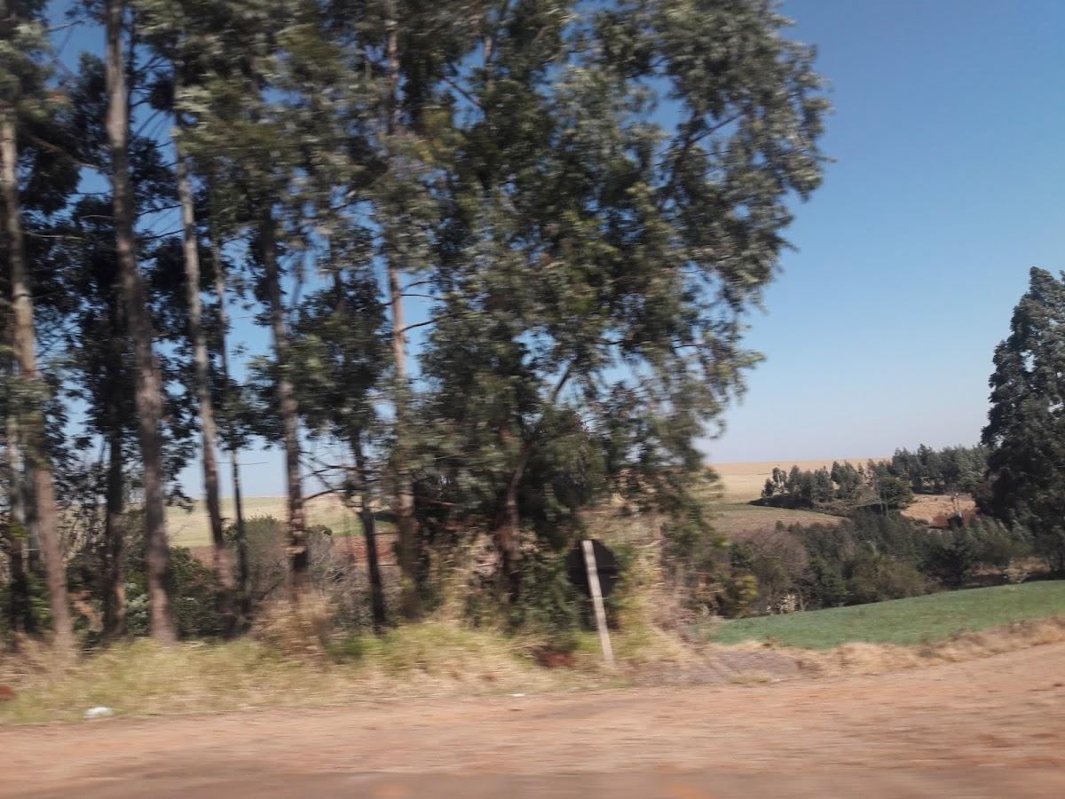 Registro de marca em Bom Progresso, Rio Grande do Sul