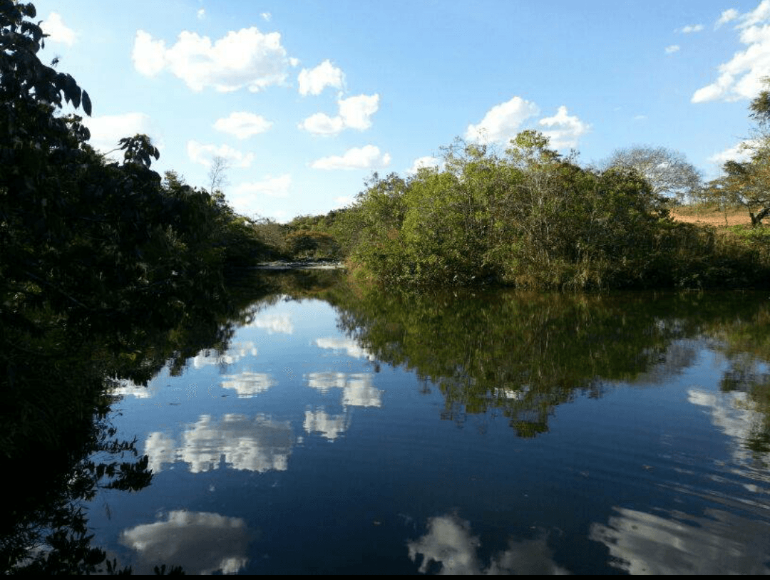 Registro de marca em Bonfinópolis de Minas, Minas Gerais