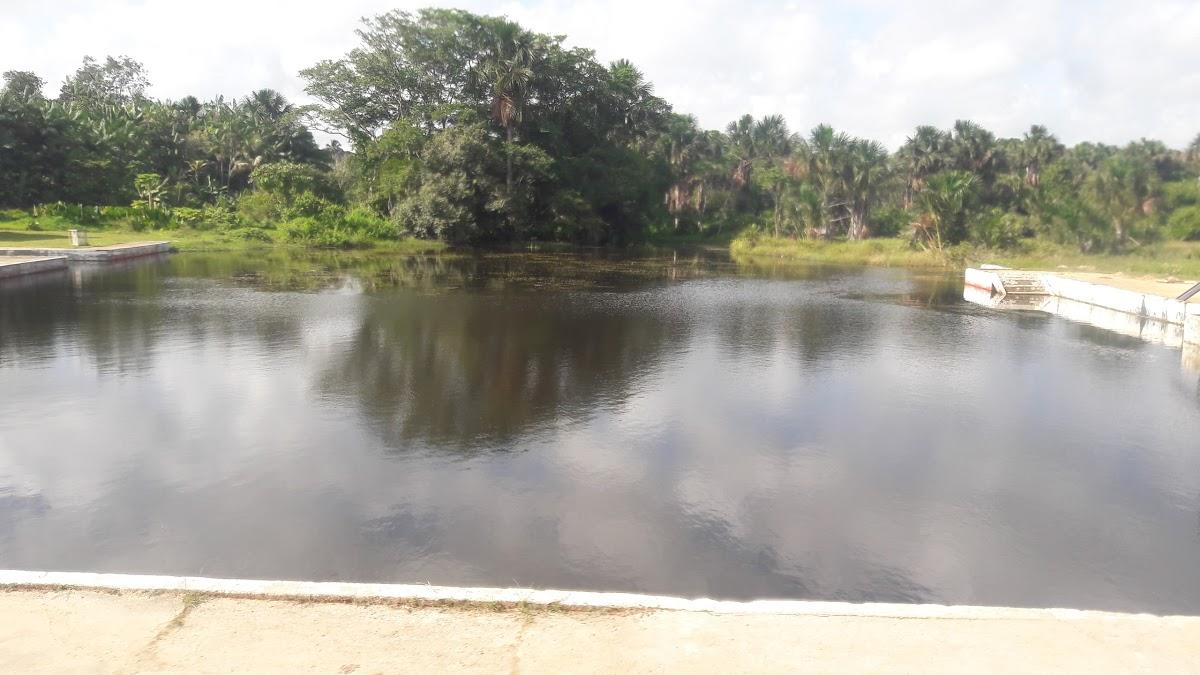 Registro de marca em Bonito, Pará