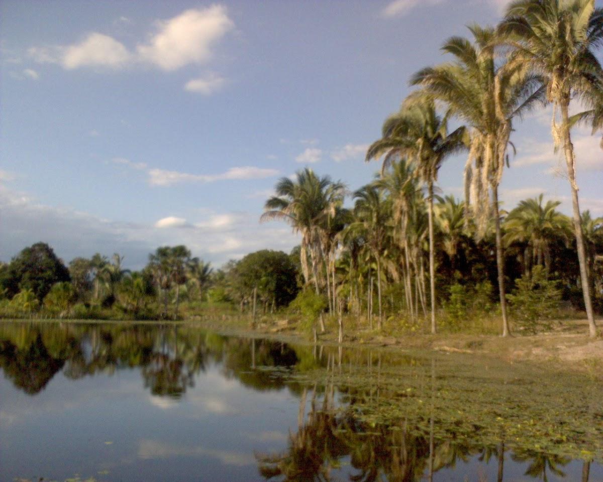 Registro de marca em Boqueirão do Piauí, Piauí