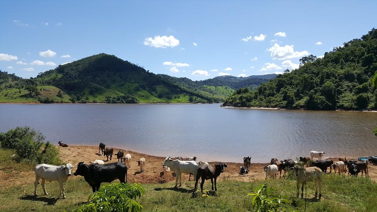 Registro de marca em Braúnas, Minas Gerais