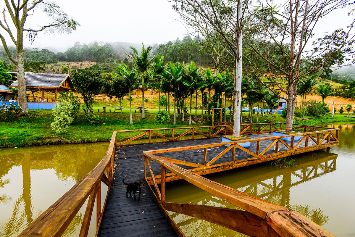 Registro de marca em Brejetuba, Espírito Santo