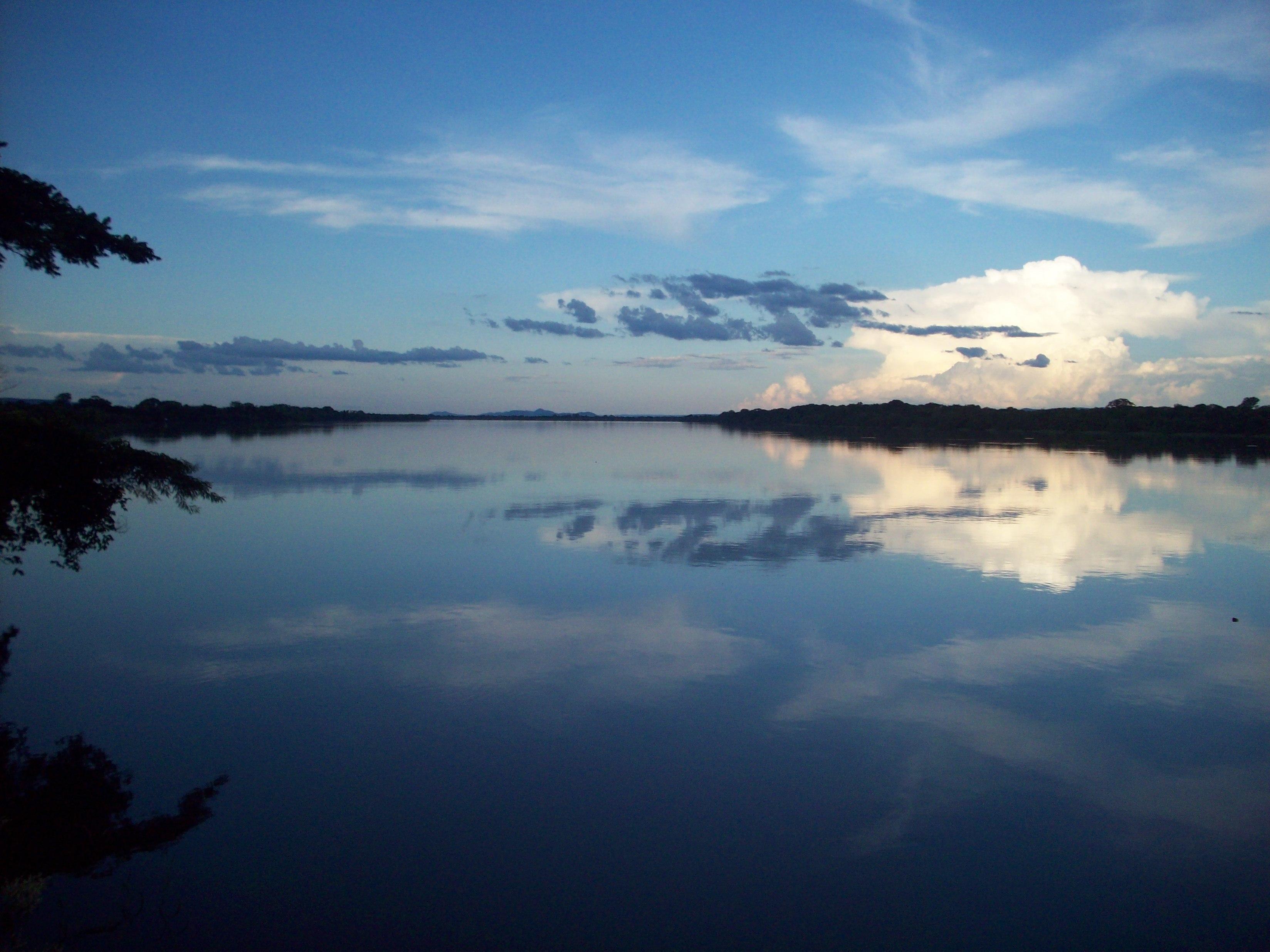 Registro de marca em Brejinho de Nazaré, Tocantins
