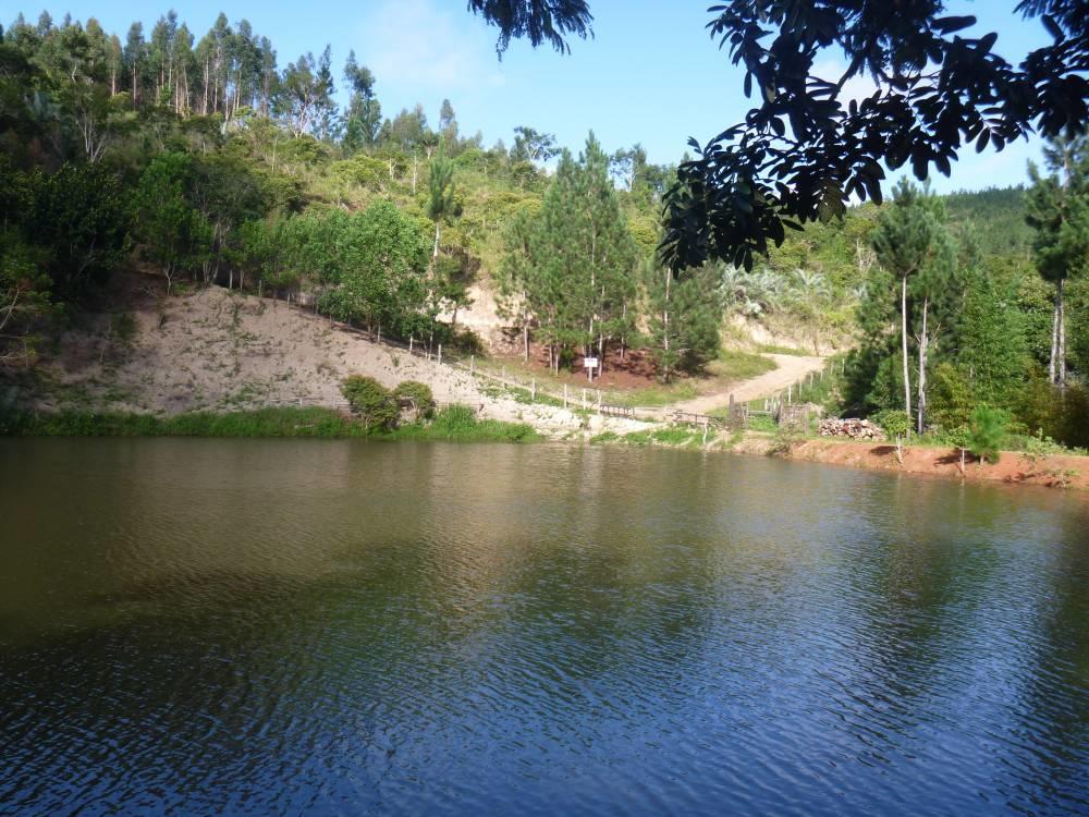 Registro de marca em Brejões, Bahia