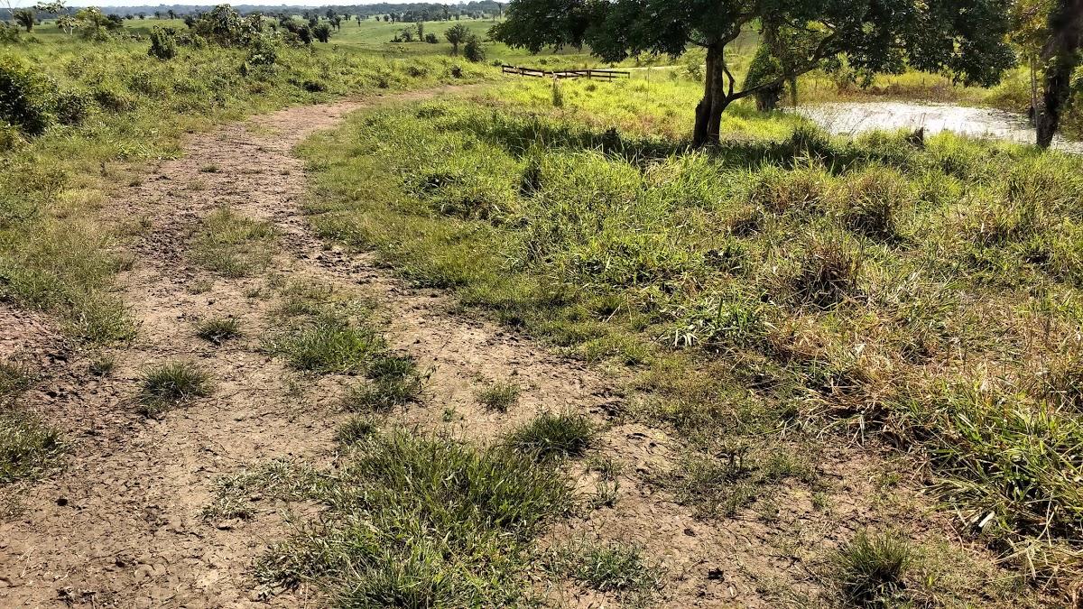 Registro de marca em Bujari, Acre