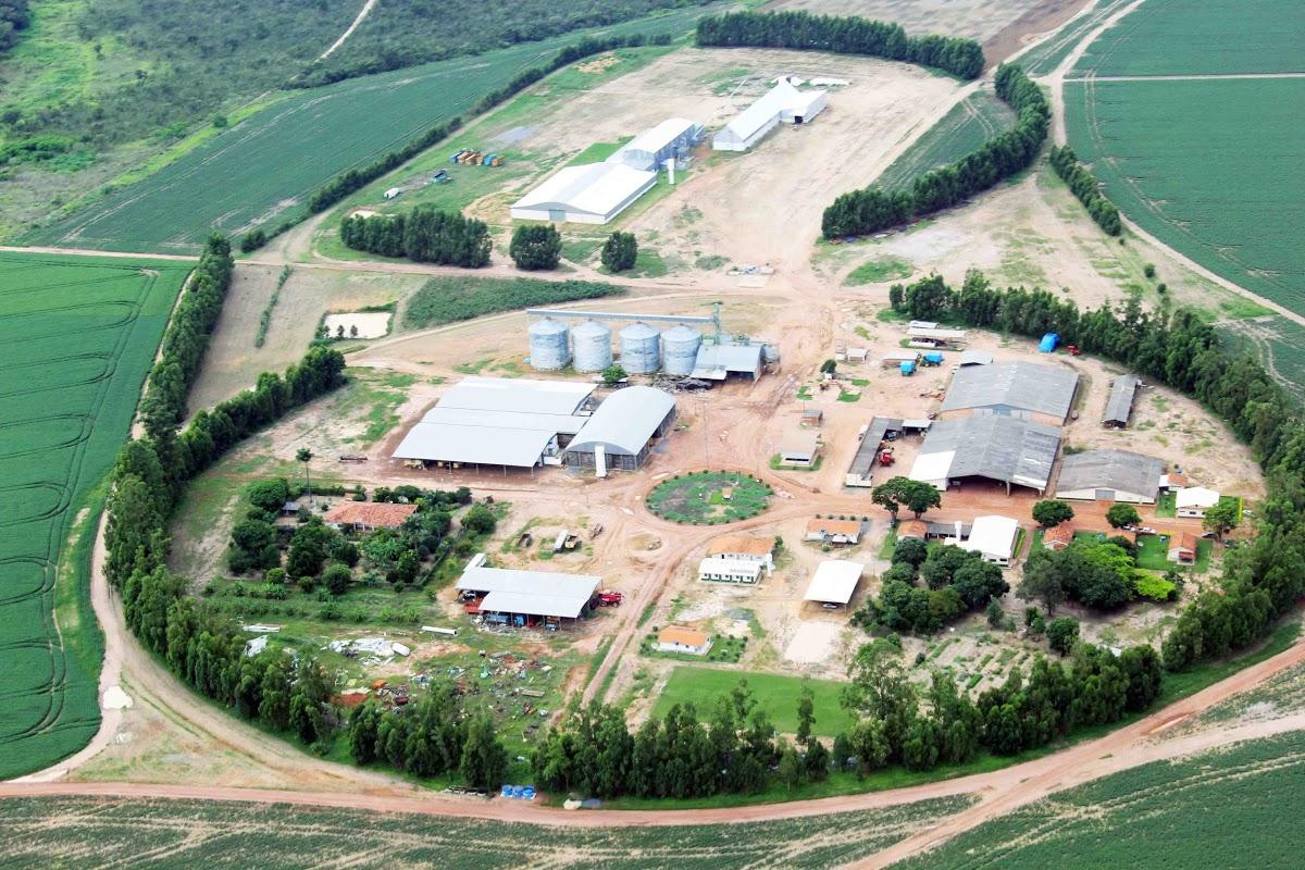 Registro de marca em Buritis, Minas Gerais